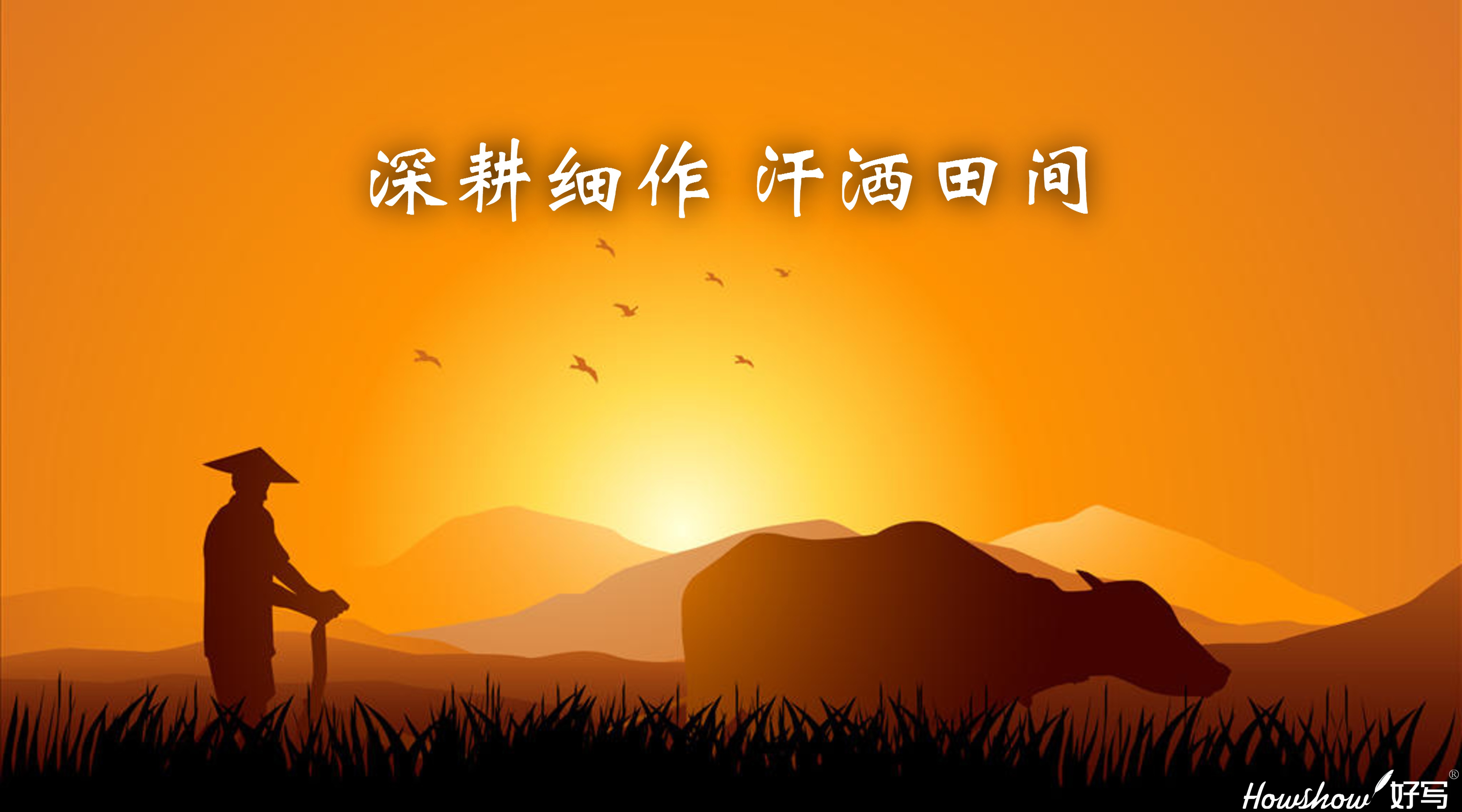 深耕細作·汗灑田間 ‖ 一場從內到外的革新，正在好寫拉開帷幕！